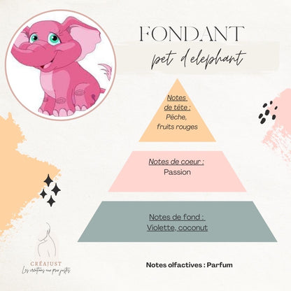 Fondant Pet d’éléphant