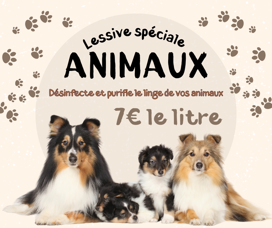 notre lessive pour animaux est spécialisé pour désinfecter désodorisé et éliminé les taches. Sans odeur elle ne dérangera pas vos compagnons. Rechargeable à l'infini en achetant nos recharge une fois fini 